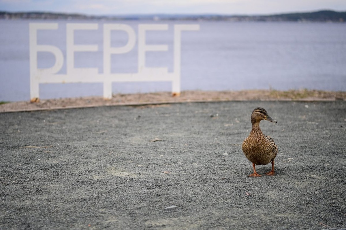    Фото: "Республика"/ Сергей Юдин
