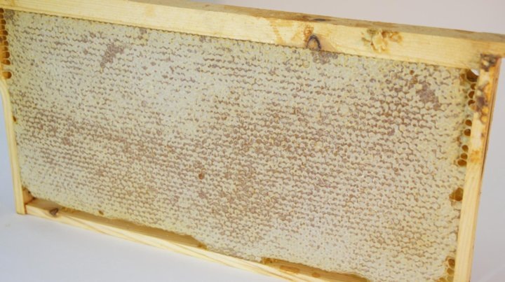 Полностью запечатанная рамка с мёдом 