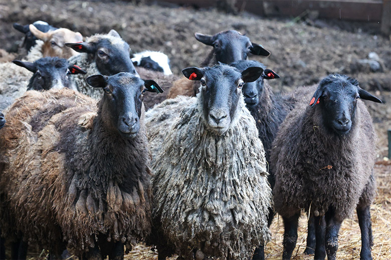    Сергей Петров/NEWS.ru
