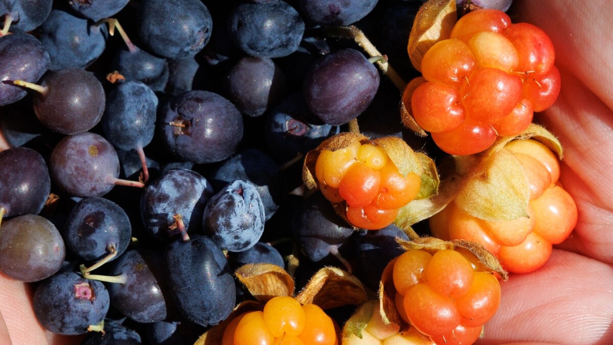    Фото: Юлия Чудинова / «Ямал-Медиа»