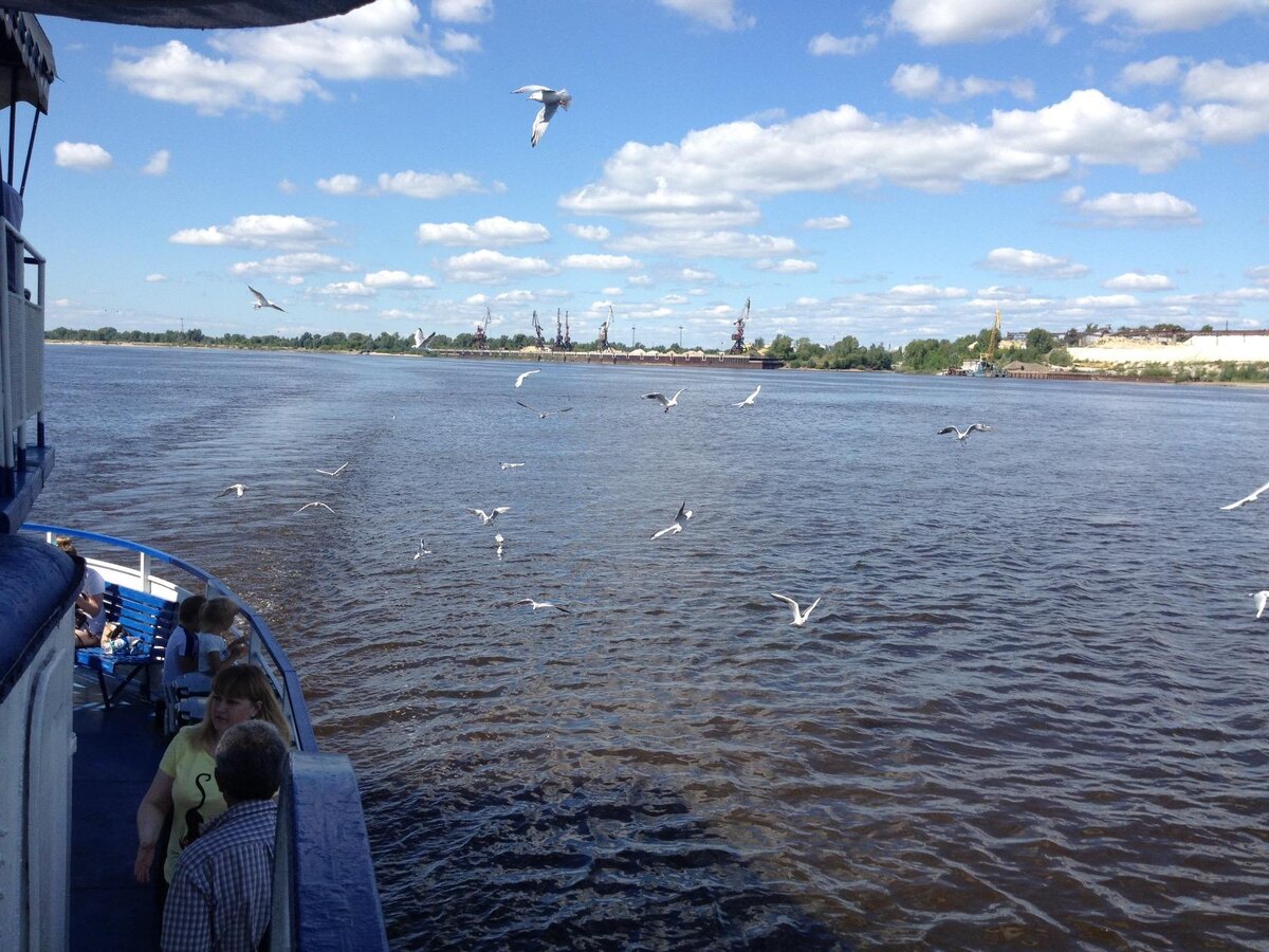 Чайки - постоянные спутники теплоходов. Фото автора.