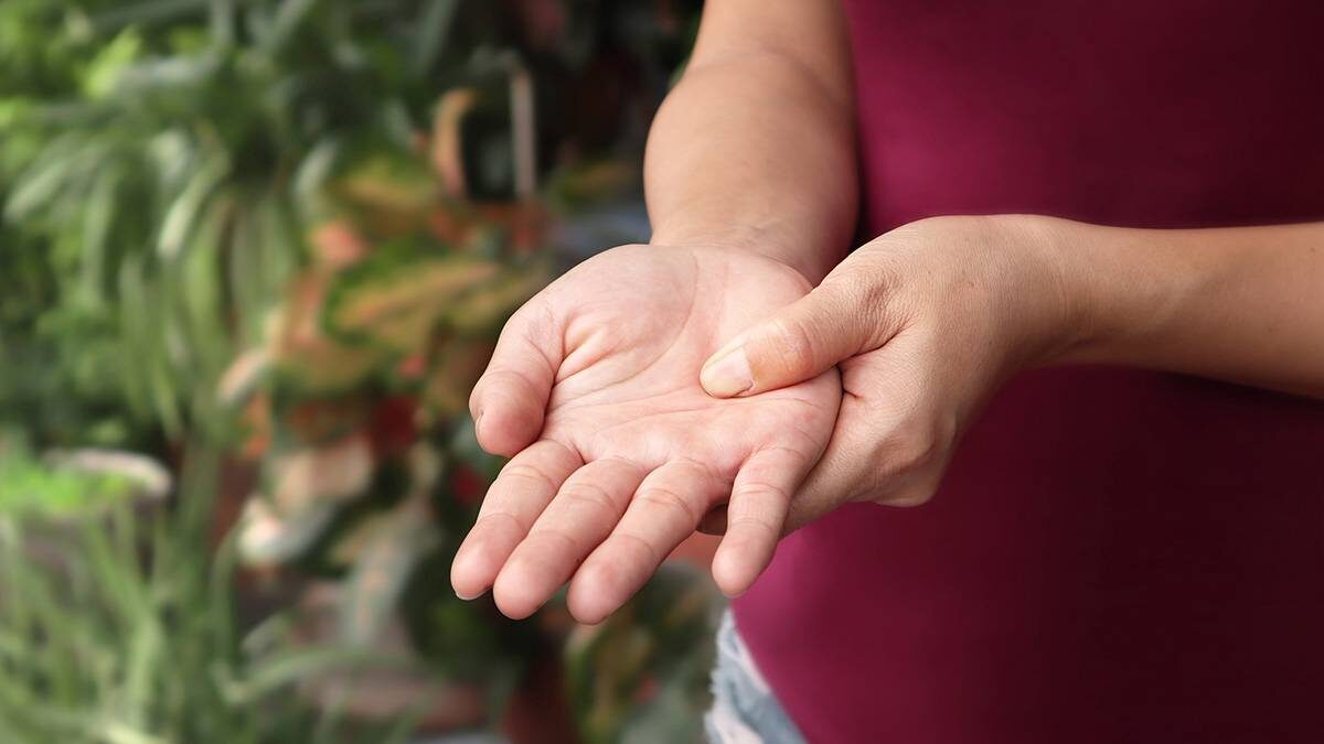    Фото: Shutterstock