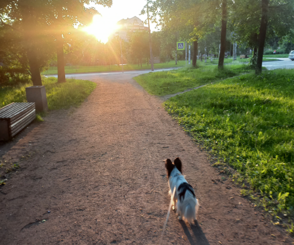 У Роки на закате часто ипохондрия делается)))