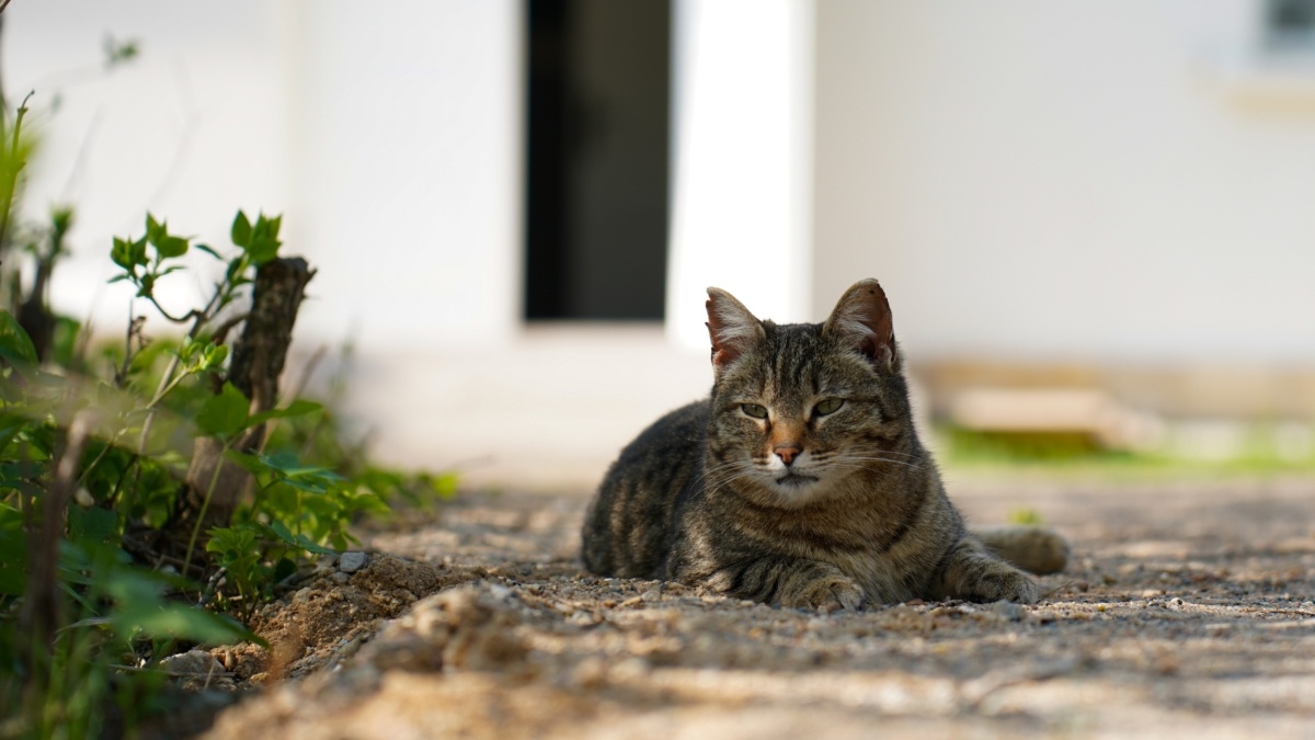 Светлана Мулыкина📷
