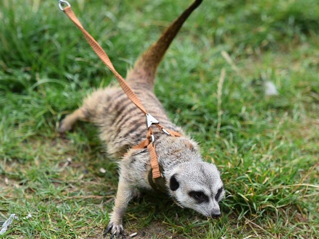    Фото: Москва 24/Антон Великжанин