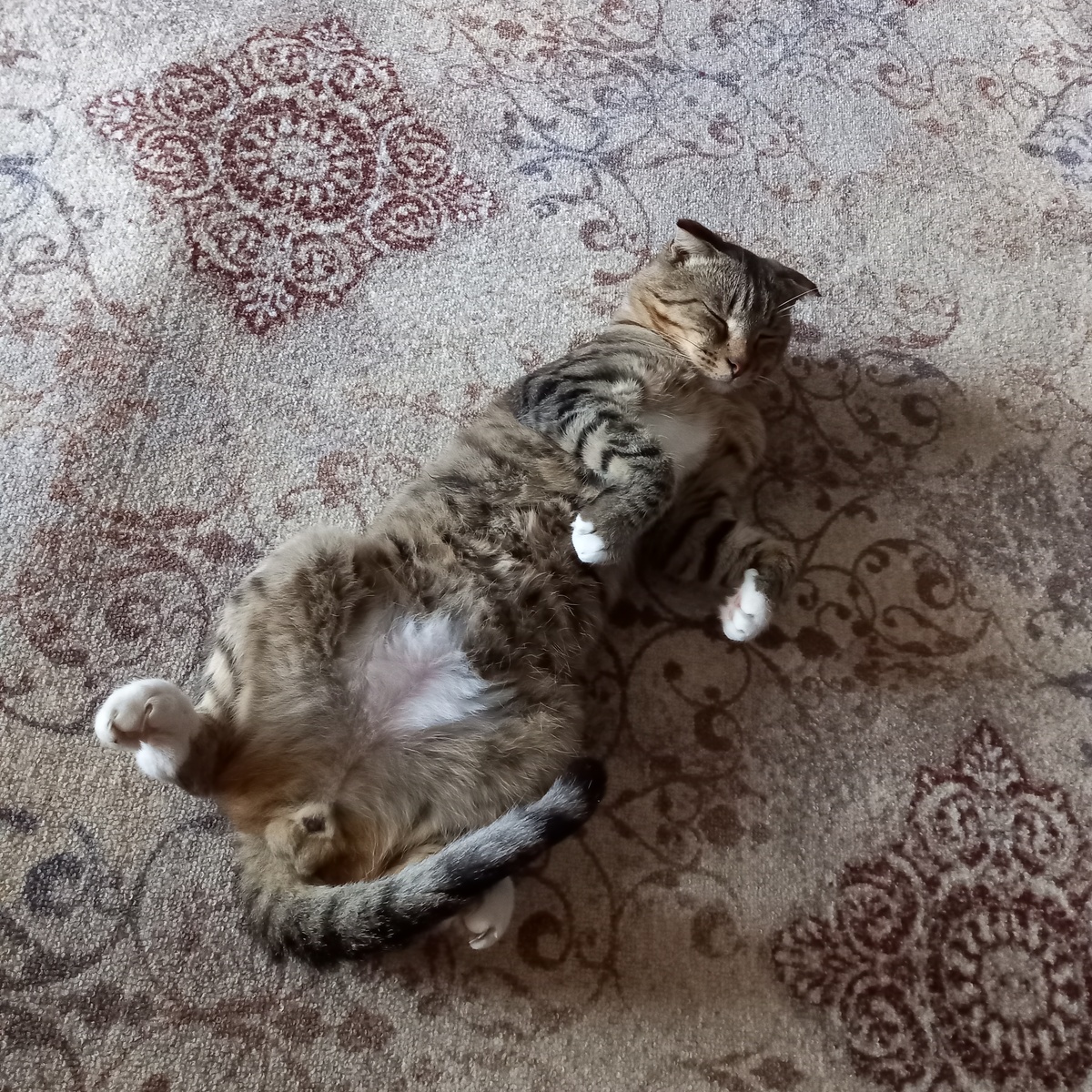 Притворяется спящим