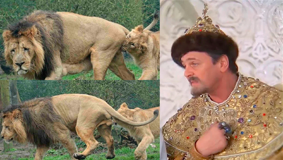 Рубрика "Уберите детей от экрана". 