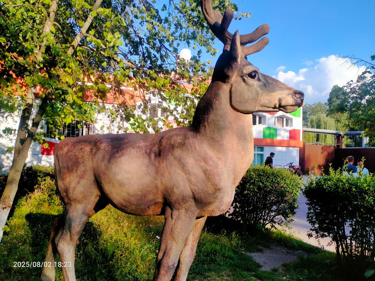 Фотография автора