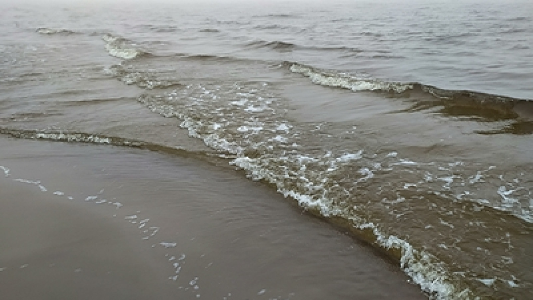    Victor Lisitsyn/Globallookpress