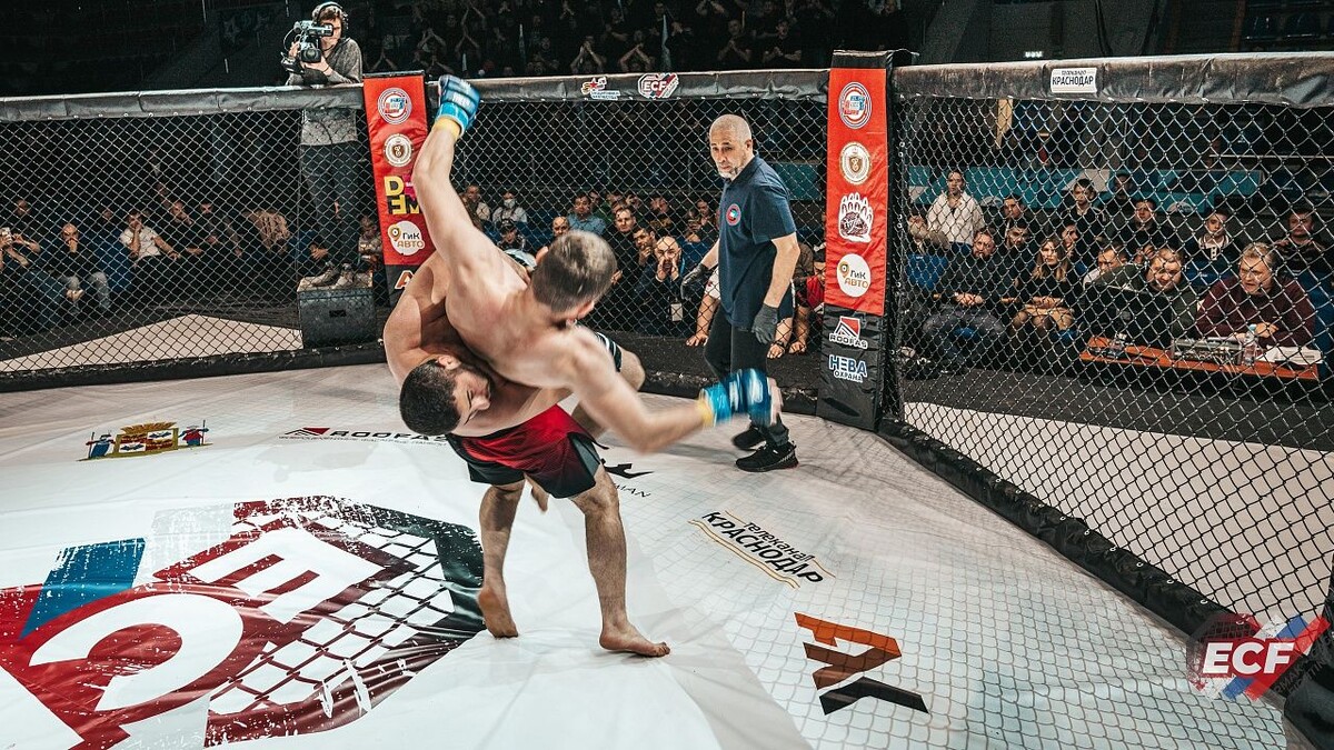    Фото: пресс-служба лиги ЕРМАК по ММА