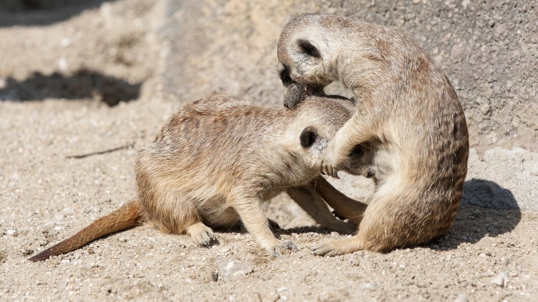    Aleksey Smyshlyaev/Globallookpress