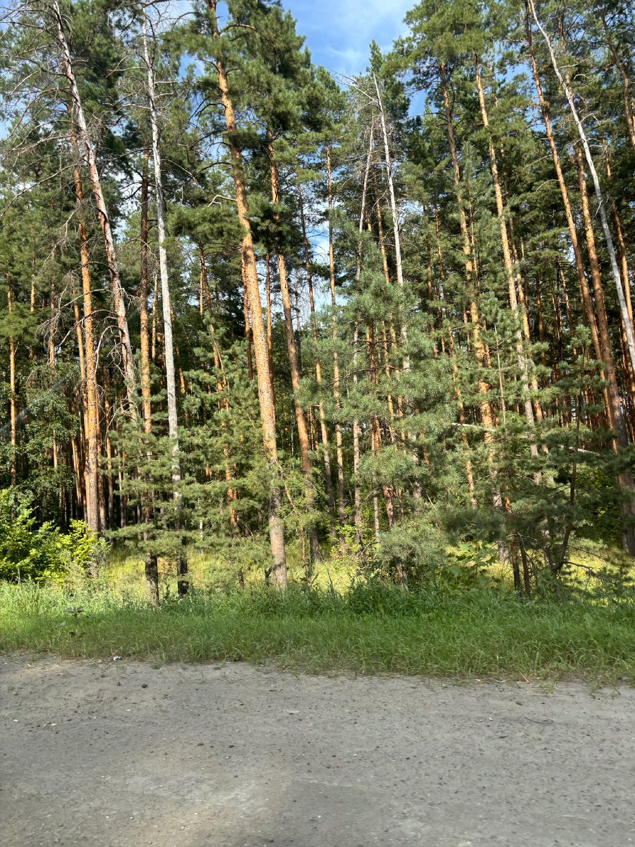 Тамбовская область