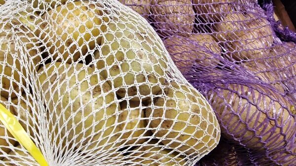    © Sputnik / Александр Жибуль