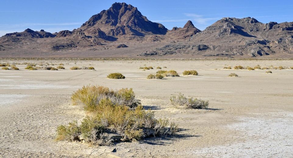    Horst Mahr/imageBROKER.com / www.globallookpress.com