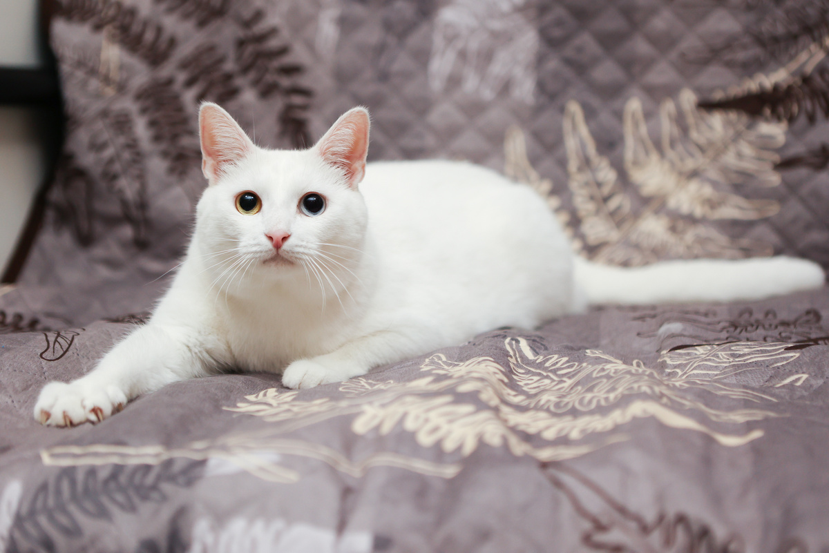 Сам от себя тащусь!