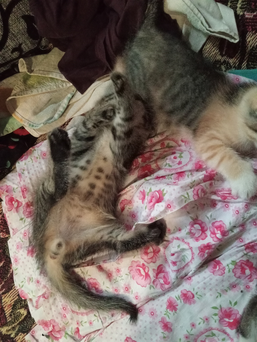 У нас тоже дела были,мы бельё гладили!