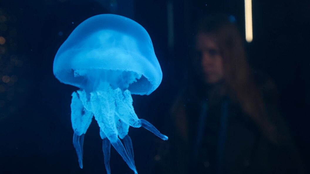    Фото: Belkin Alexey/Globallookpress