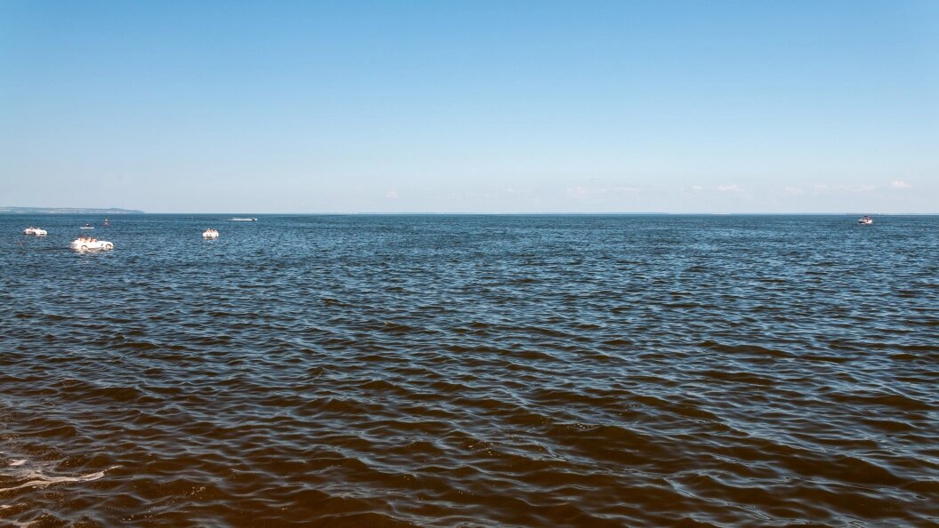    фото: Svetlana Vozmilova/Global Look Press