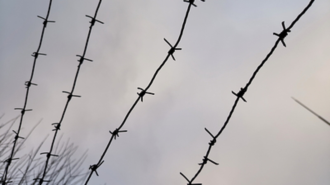    Maksim Konstantinov/Globallookpress