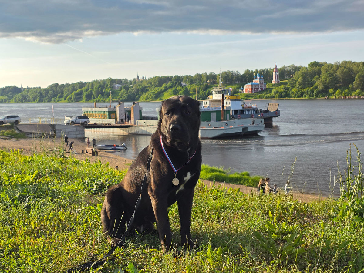 Корд с видом на Волгу