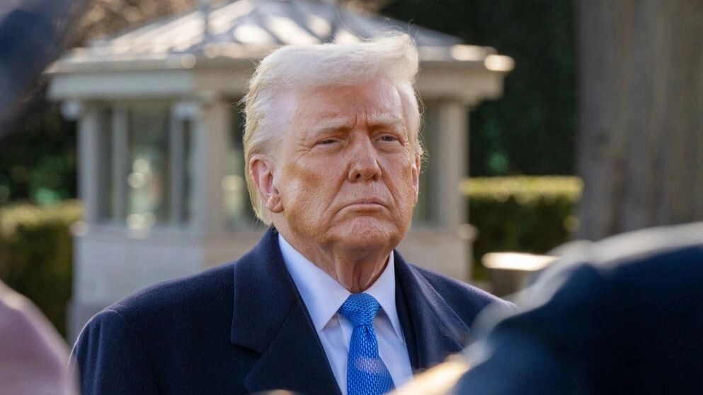    Фото: Joey Sussman/Shutterstock/Fotodom