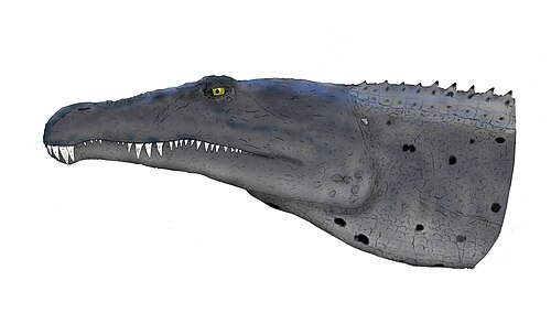 Портретная реконструкция ругаринкоса