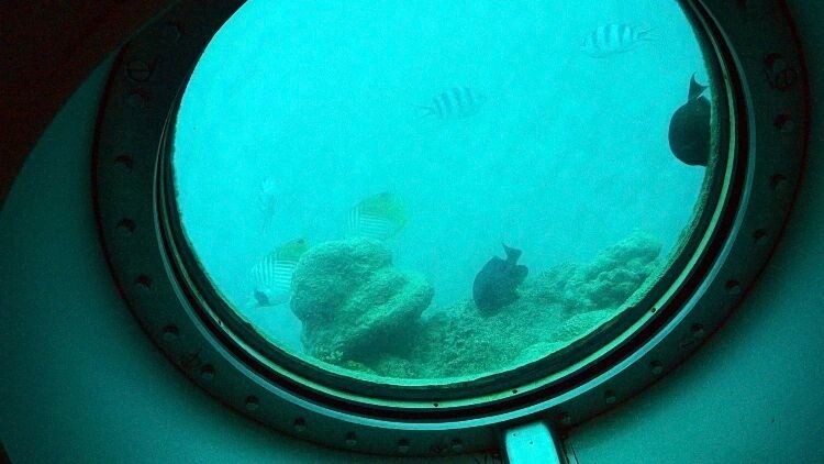    Фото: Es3n/Shutterstock/Fotodom