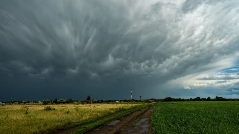     Завораживающие грозовые тучи перед бурей на Алтае запечатлел фотограф. Личная страница Евгения Храпко в ВК