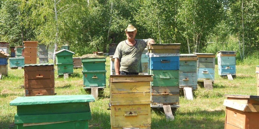 Пасечник из Новосибирска потерял более 2,5 миллиона пчёл из-за обработки полей