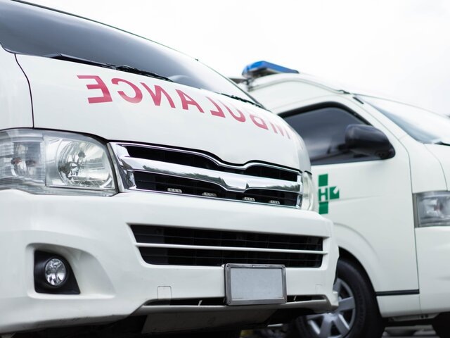    Фото: 123RF/bizhamox