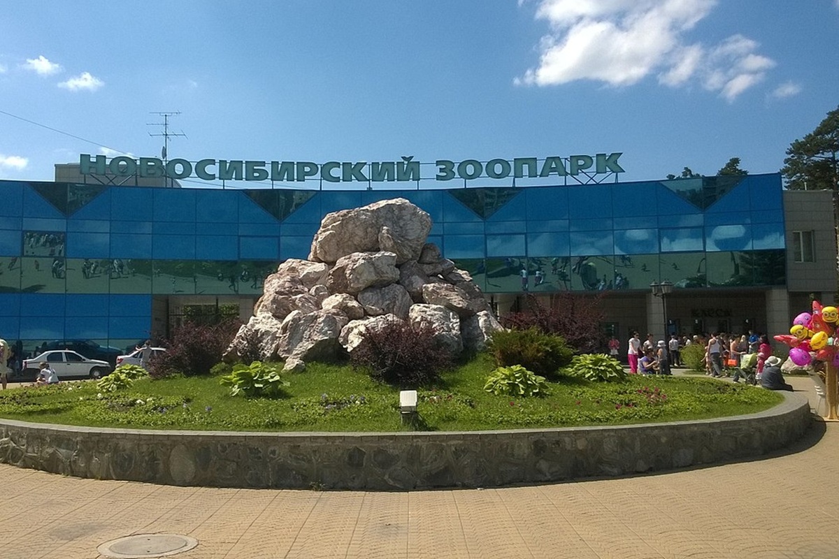   Фото: К.Артём.1. Источник: commons.wikimedia.org