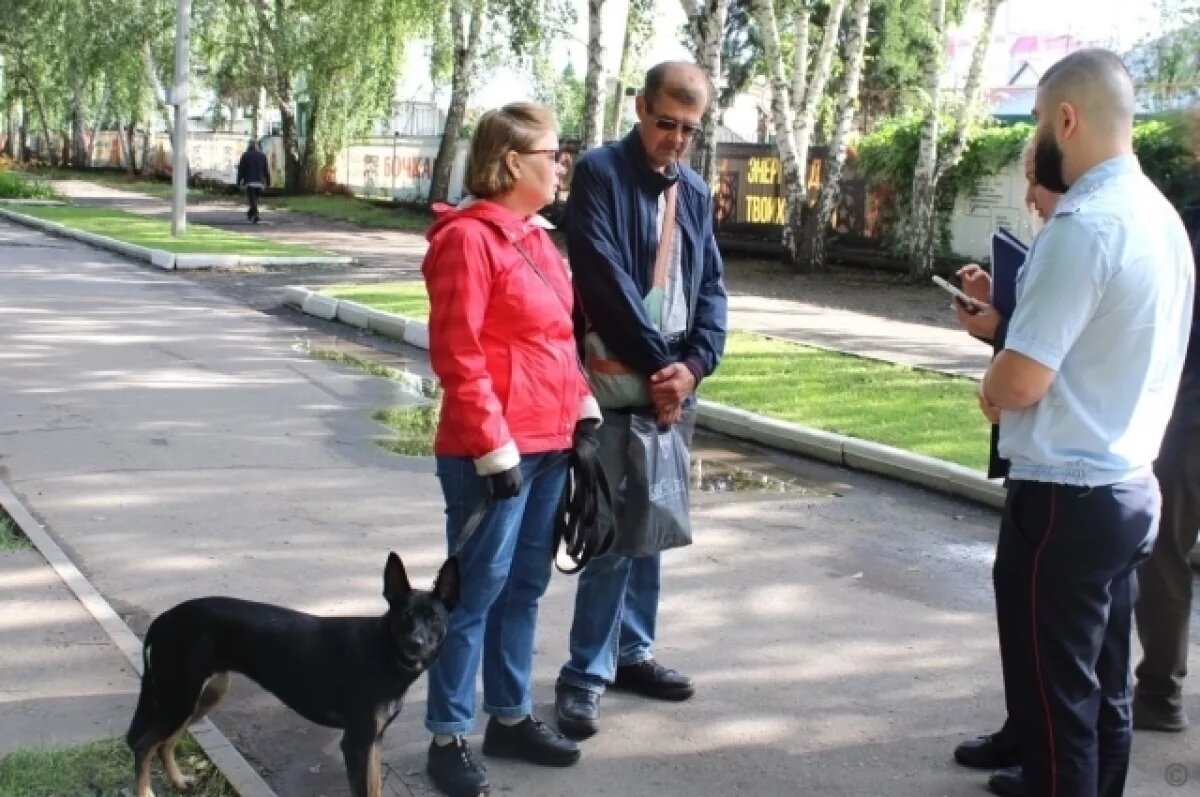    В Барнауле провели рейд по проверке маркировки собак