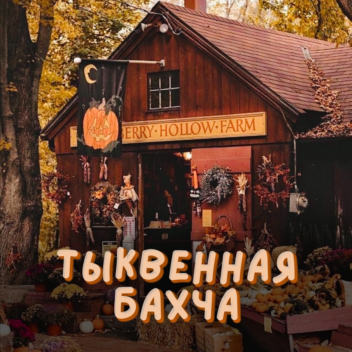 Из группы VK Book's Secret