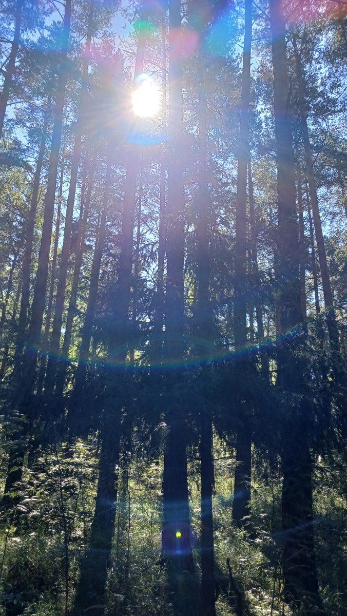 "Доброе утро, мир! Ты прекрасен!" Фото автора