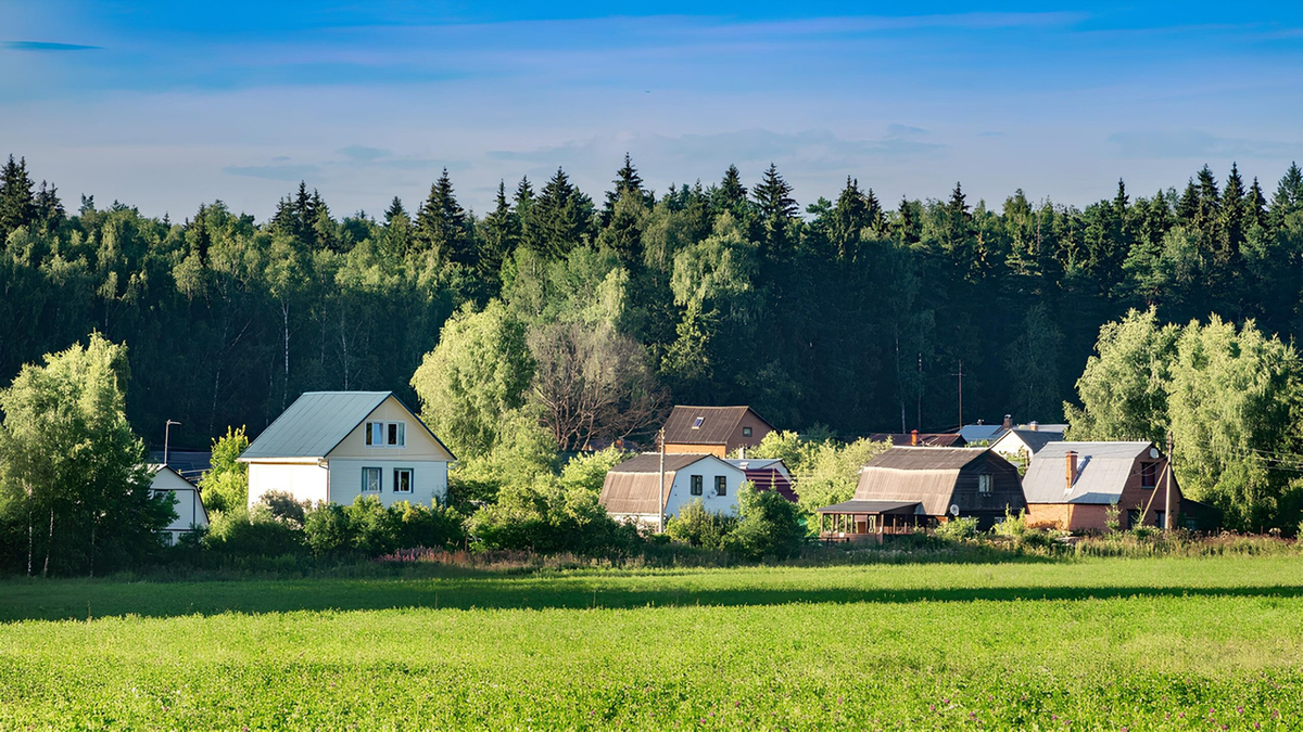 За спил дерева 7 лет: как не превратить отдых в уголовное дело