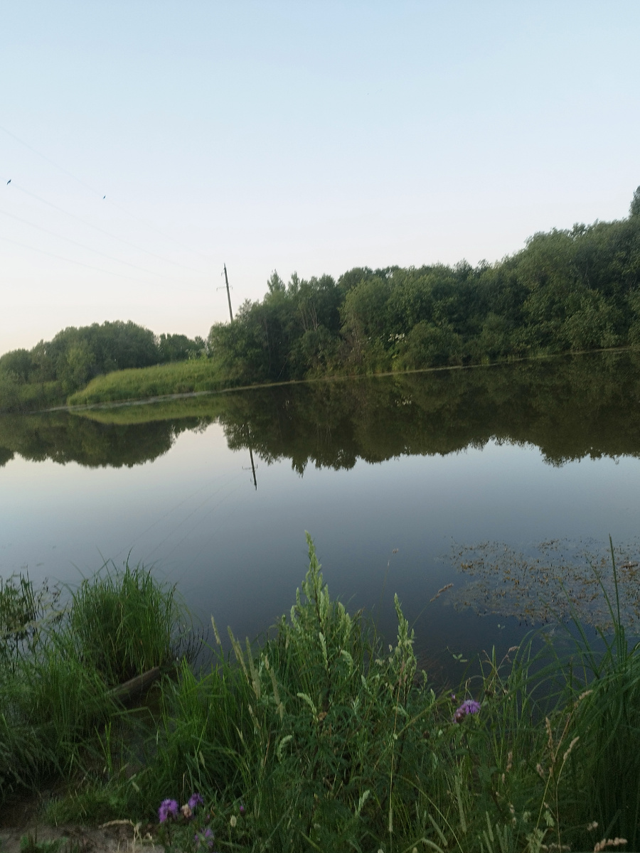 Фото автора канала