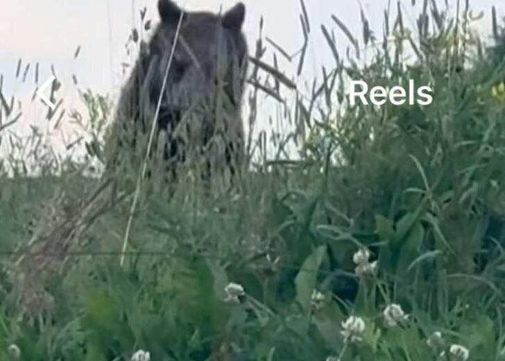    Фото Гульназ Асаевой