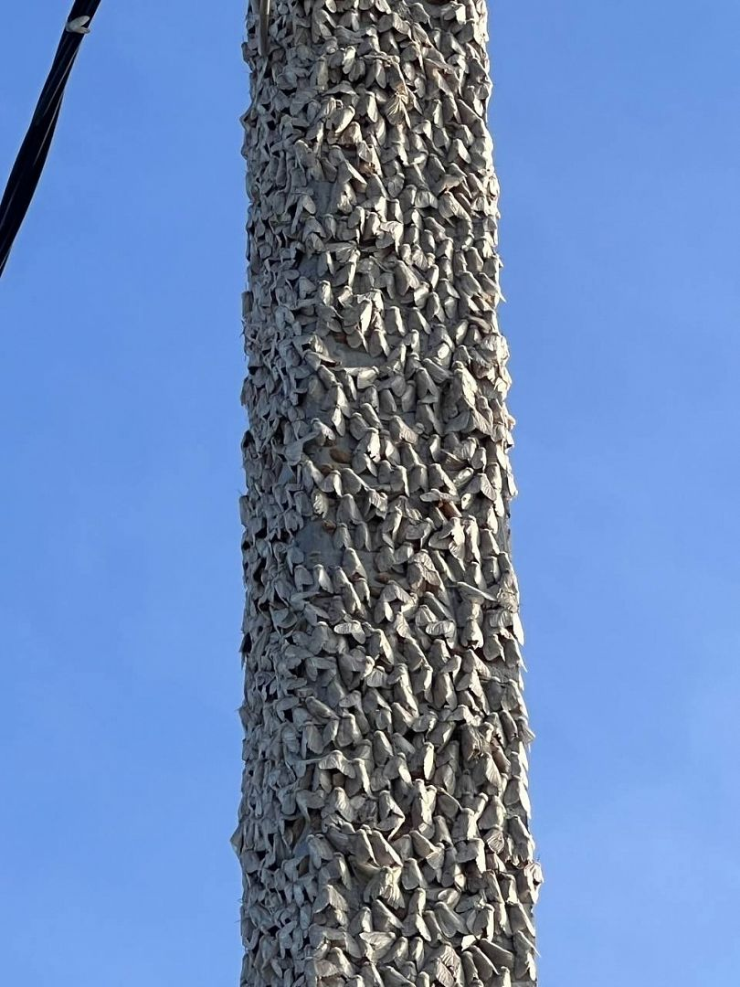 Фото: https://vk.com/barneos22