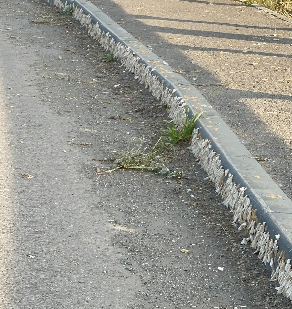 Фото: https://vk.com/barneos22