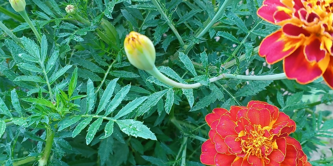 Не обижайтесь на жизнь — она слишком коротка для тяжести в сердце. Мой путь к душевной лёгкости