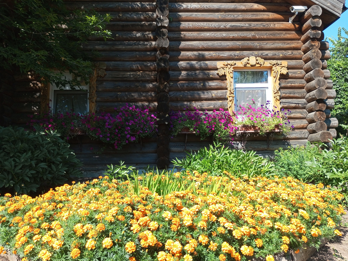 Домик окнами в сад... Фото автора из Ижевского зоопарка.