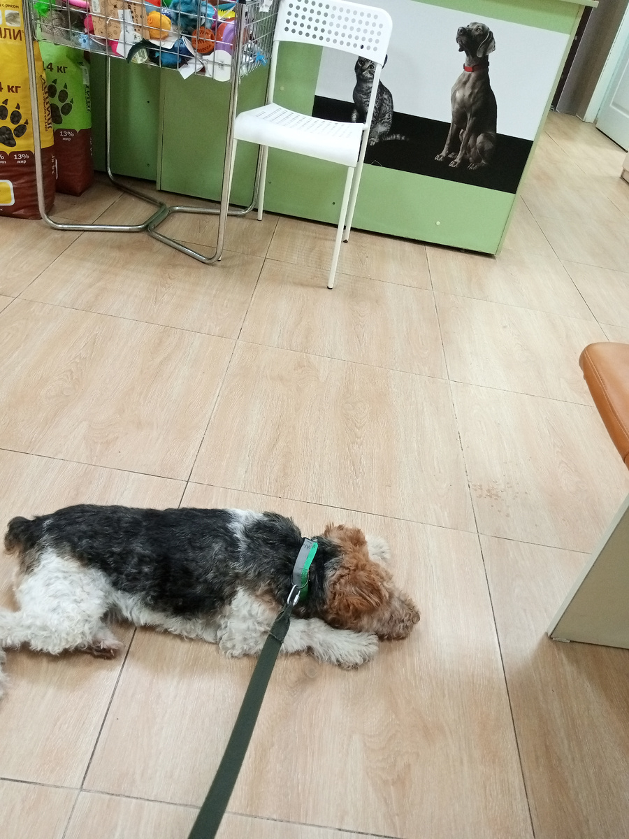 Ждём приема у доктора. (Фото моё)