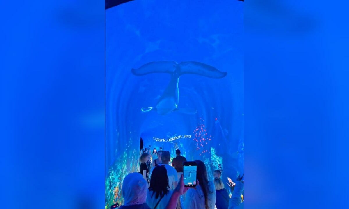    Скрншот видео t.me/park_oblakov_krd