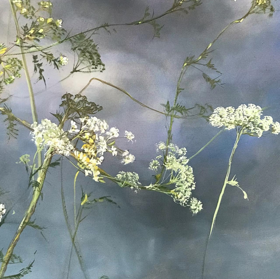 « Без названия» художник Claire Basler