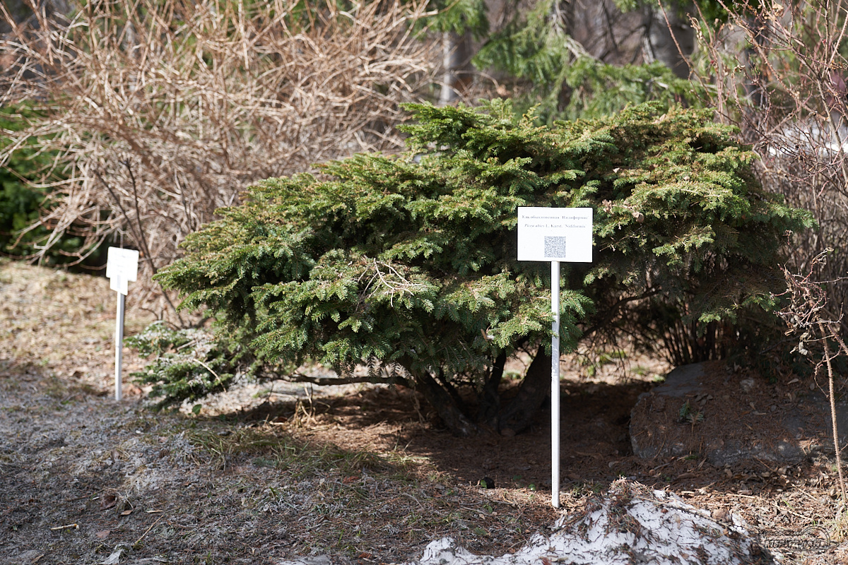    Фото: Лидия Аникина © ИА «Уральский меридиан»
