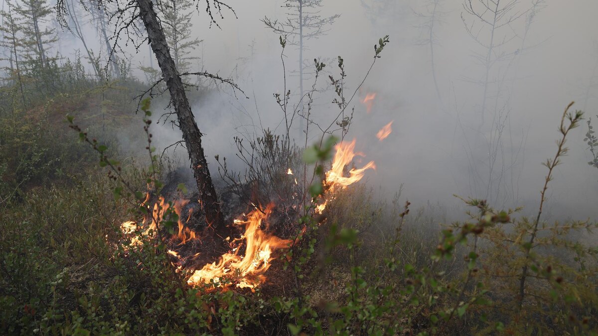    Фото: ИЗВЕСТИЯ