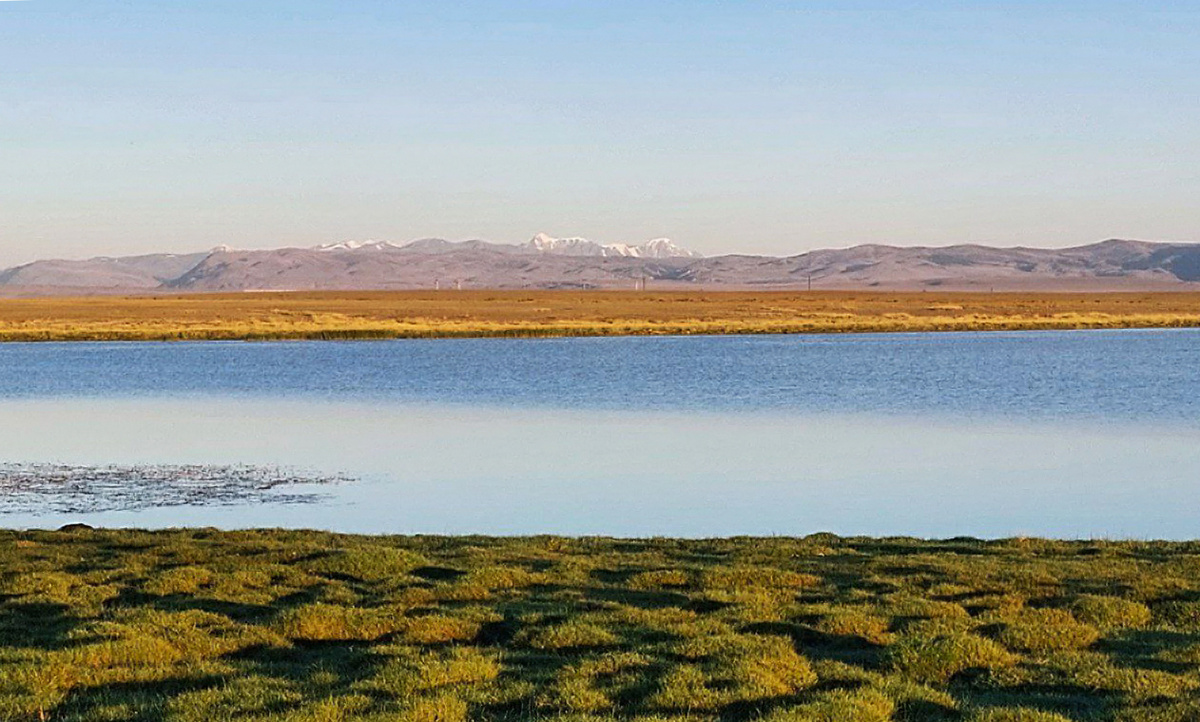 Вид с террасы отеля