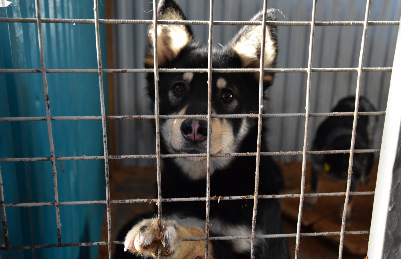 администрация Елизовского района