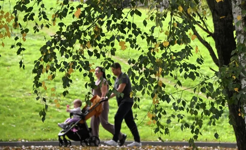     © РИА Новости, Владимир Федоренко