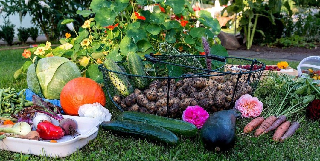 В августе всё только продолжается…